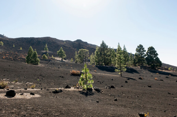 cara-mengurus-sipa-air-tanah-melalui-oss-solusi-efisien-bersama-jasa-sondir-tanah-id