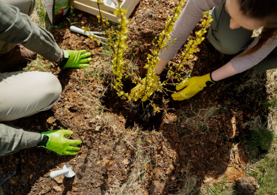 regulasi-dan-proses-oss-air-tanah-panduan-izin-eksplorasi-dan-pengambilan-air-tanah-bersama-jasasondirtanahid