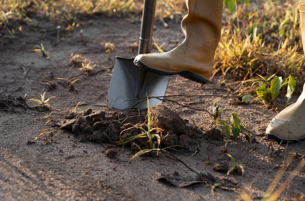 jasa-sondir-tanah-di-palu-untuk-konstruksi-aman