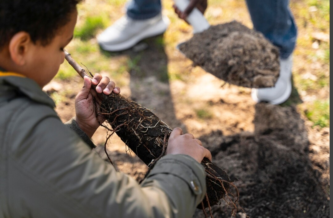 bangun-proyek-andal-di-medan-sondir-tanah-profesional-untuk-fondasi-kokoh