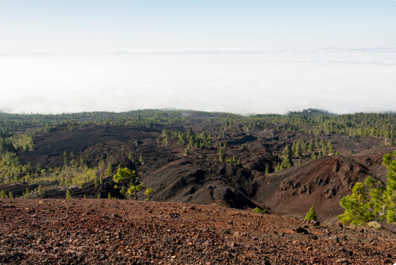 prosedur-sipa-dan-regulasi-air-tanah-pentingnya-legalitas-dalam-perizinan-lingkungan-konstruksi