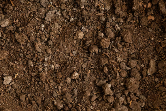 tips-memilih-jasa-sondir-tanah-terpercaya-di-cibinong