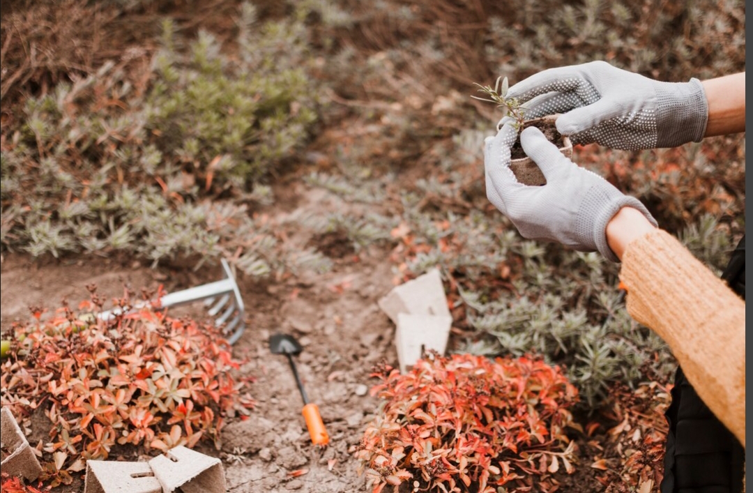 sebelum-bangun-di-kediri-pastikan-sondir-tanah-dulu