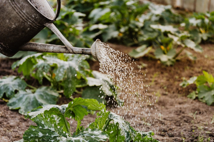 cara-mengurus-sipa-air-tanah-di-tanjung-pandan